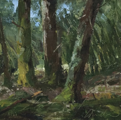 道格拉斯·安德林是一位美国风景画家，以强调自然光线与户外写生的绘画实践而受到关注。他的创作延续了美国印象主义与现实主义风景传统，注重在现场观察中捕捉瞬息变化的光与色。