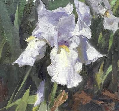 道格拉斯·安德林是一位美国风景画家，以强调自然光线与户外写生的绘画实践而受到关注。他的创作延续了美国印象主义与现实主义风景传统，注重在现场观察中捕捉瞬息变化的光与色。