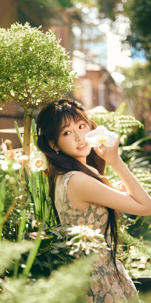 杨肸子