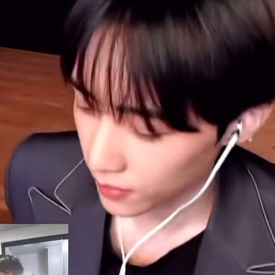 愿 逆风如解意 容易莫摧残