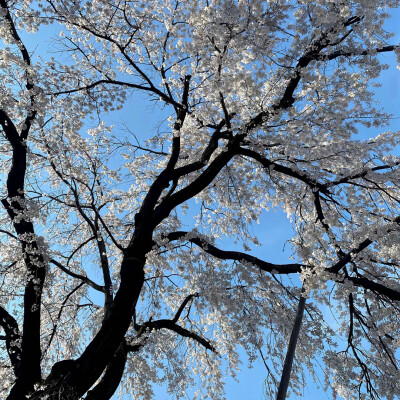 图源ks：偷喝汽水