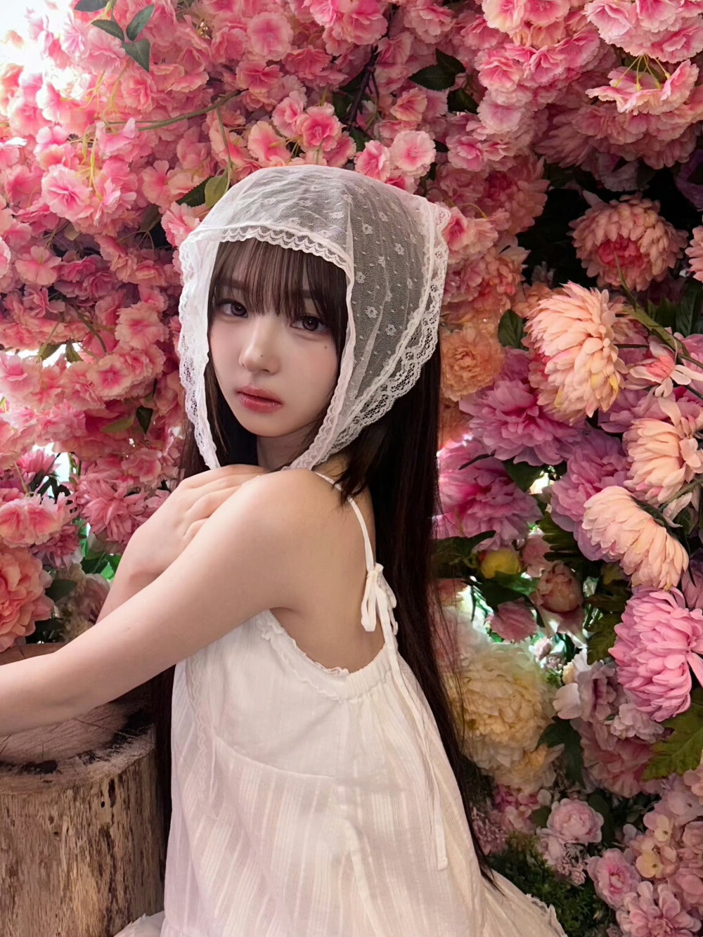 tripleS hayeon丁夏妍