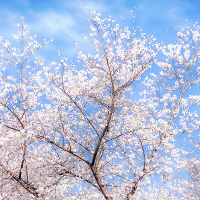 图源ks：偷喝汽水