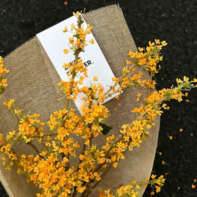 图源ks：偷喝汽水