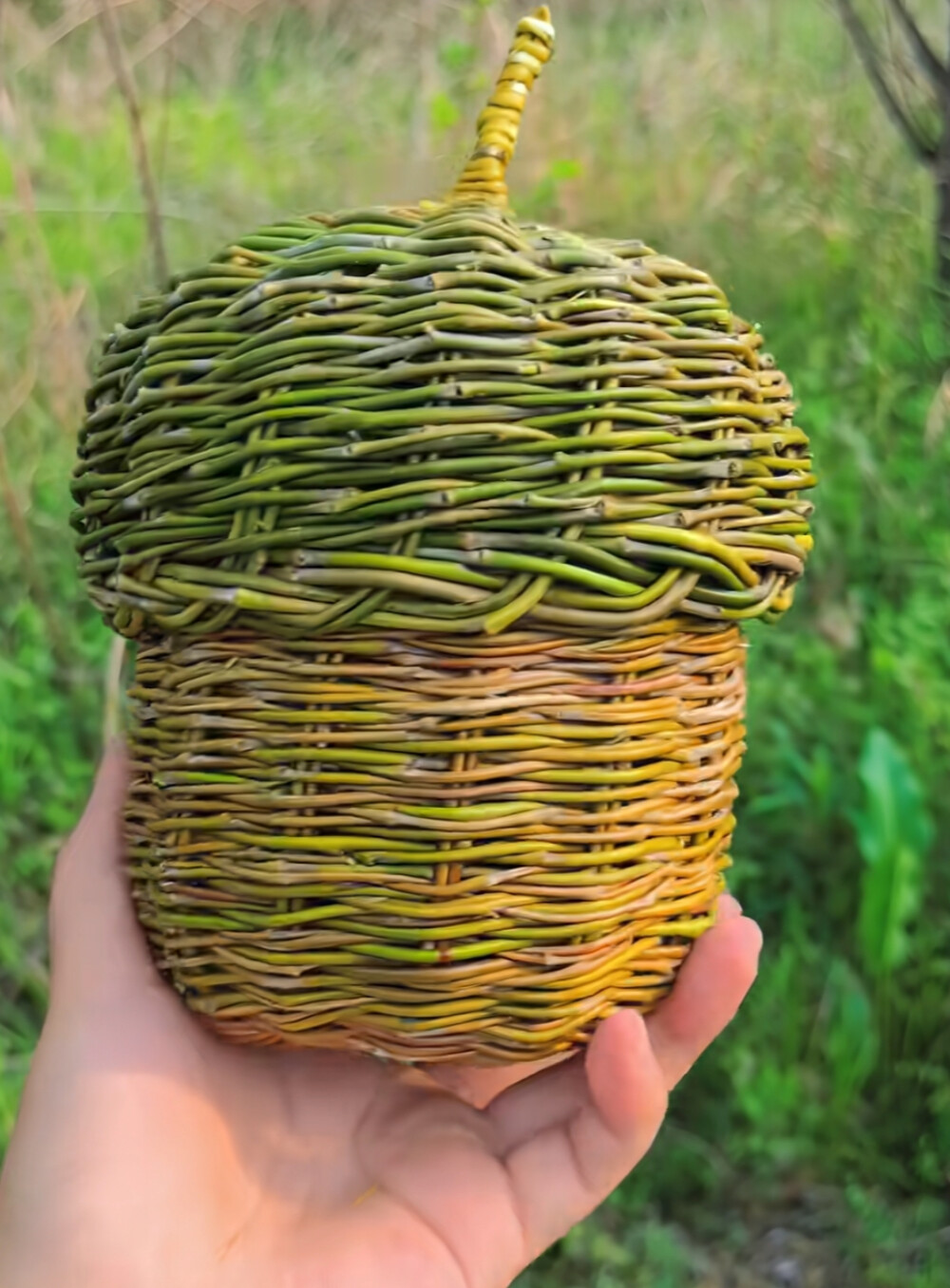 标