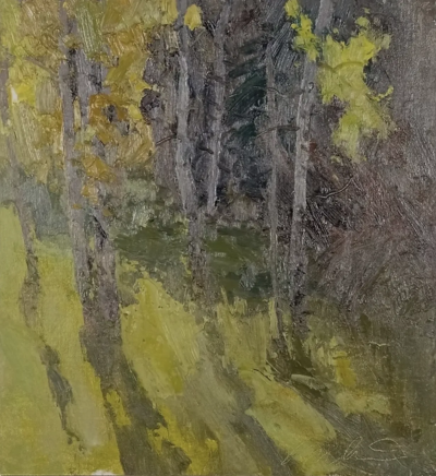 道格拉斯·安德林是一位美国风景画家，以强调自然光线与户外写生的绘画实践而受到关注。他的创作延续了美国印象主义与现实主义风景传统，注重在现场观察中捕捉瞬息变化的光与色。