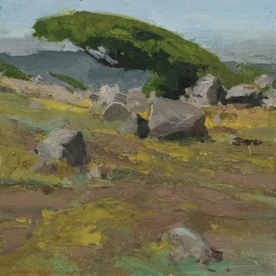 道格拉斯·安德林是一位美国风景画家，以强调自然光线与户外写生的绘画实践而受到关注。他的创作延续了美国印象主义与现实主义风景传统，注重在现场观察中捕捉瞬息变化的光与色。