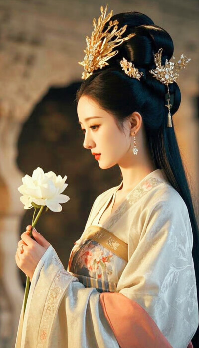 雲想衣裳花想容