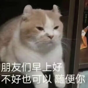 猫猫表情包