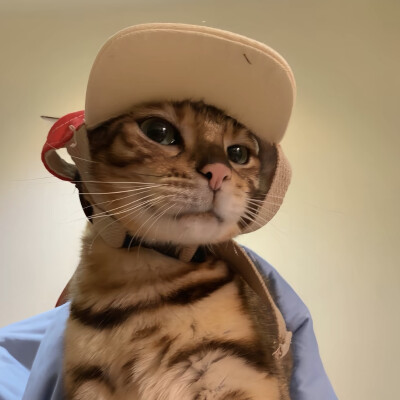 头像｜男生头像 不拥有就不会失去