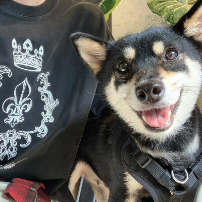 头像｜男生头像 不拥有就不会失去