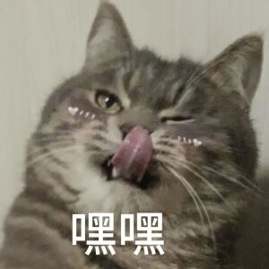 猫猫表情包