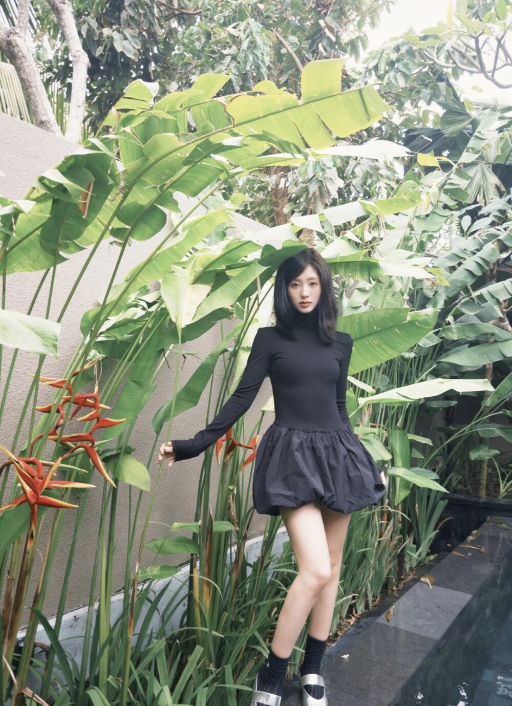 邢菲