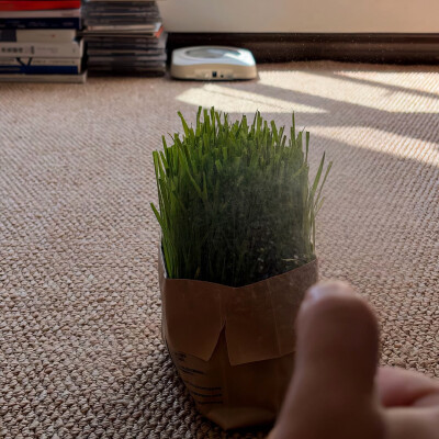 图源ks：偷喝汽水