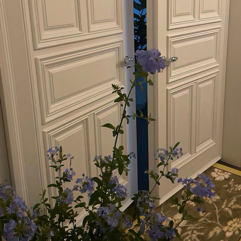 图源ks：偷喝汽水