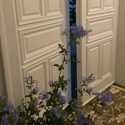 图源ks：偷喝汽水