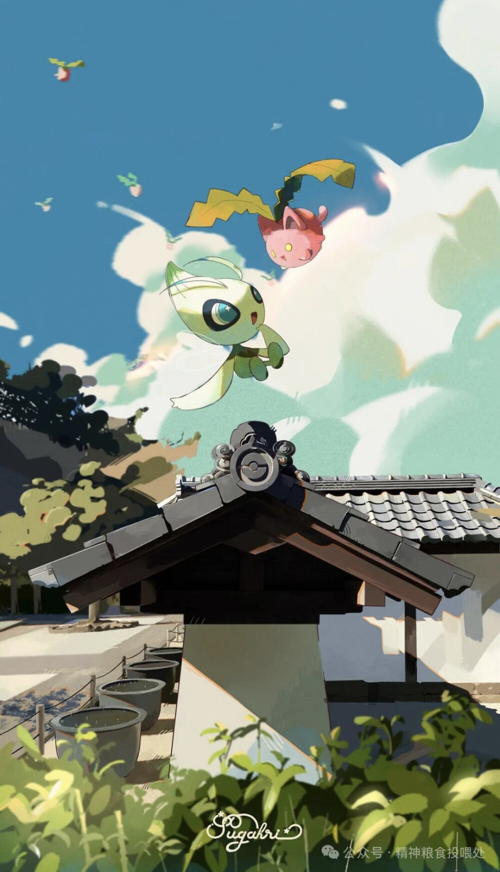 时拉比/毽子草