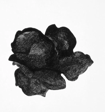 海达·斯特恩于 1910 年 8 月 4 日出生于罗马尼亚布加勒斯特。