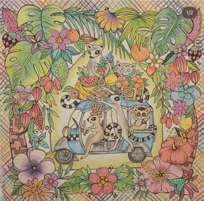 涂色