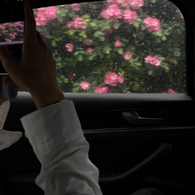 头像｜男生头像 幸福的话 杳无音讯也没关系