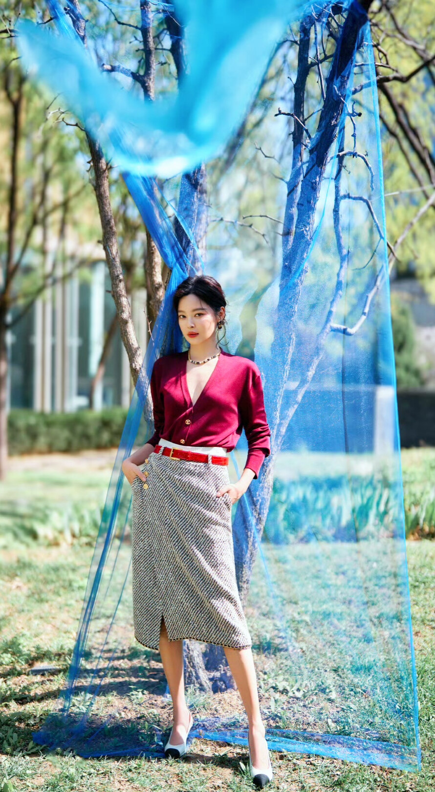 辛芷蕾