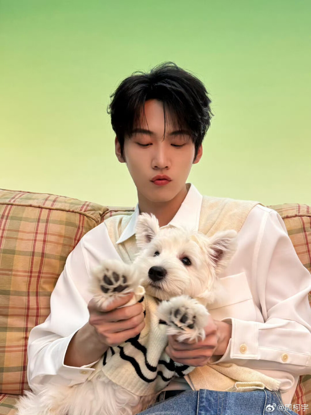 周柯宇