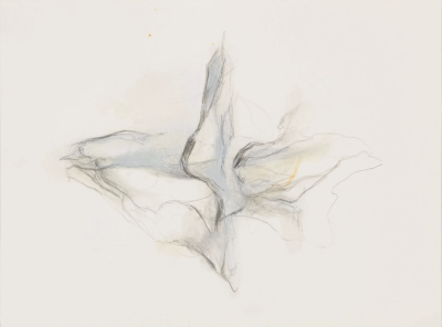 海达·斯特恩于 1910 年 8 月 4 日出生于罗马尼亚布加勒斯特。