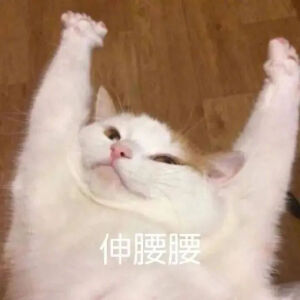 猫猫表情包