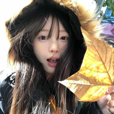 我想 我是乐观的 我是勇敢的 但是我好累
