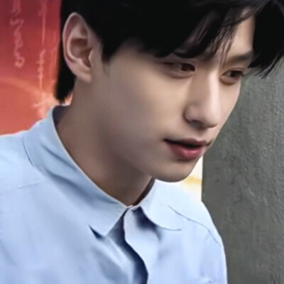 我去差点忘记有这个图集了