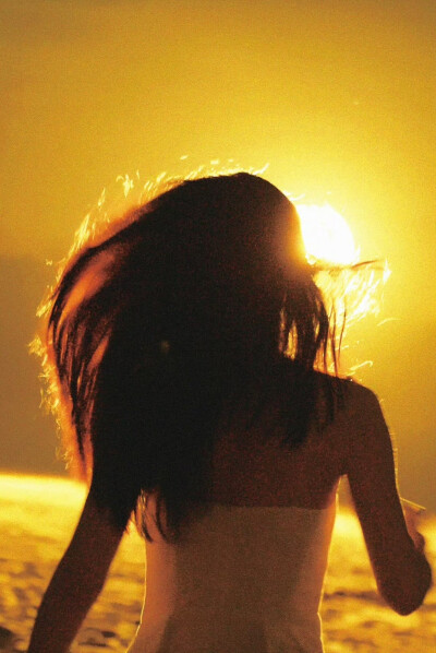  蔡文静 / 周瑾 。