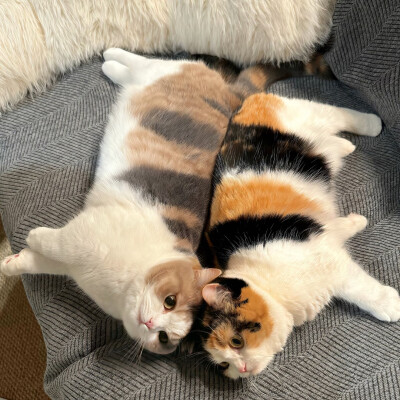 图源ks：偷喝汽水