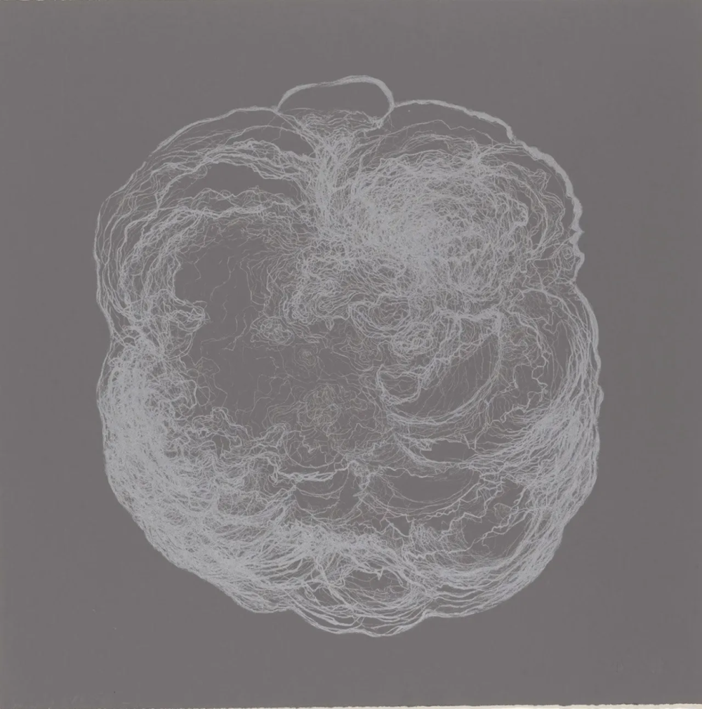 海达·斯特恩于 1910 年 8 月 4 日出生于罗马尼亚布加勒斯特。