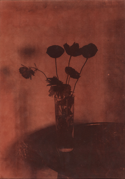 波比·琼斯，《最后的日子》（2023）。