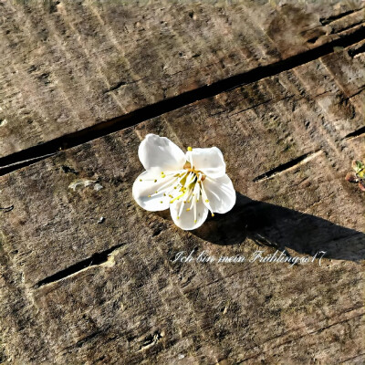 图源ks：偷喝汽水