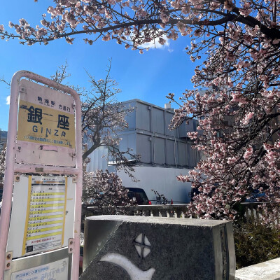 图源ks：偷喝汽水