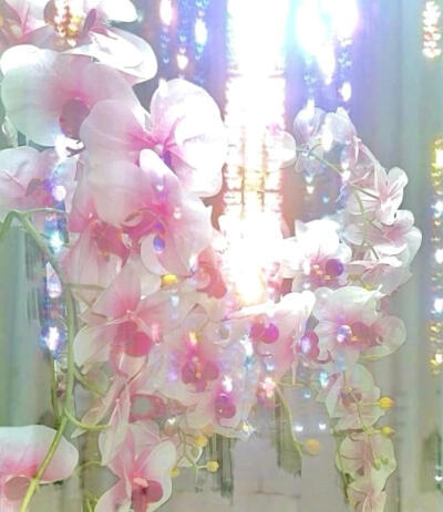 似梦境
审美积累