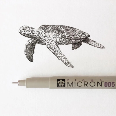 August Lamm
生活在康涅狄格州
凭一组针管笔手绘引18万人的围观喜欢
不同的针管笔的线条可以画出不一样效果
也可以根据画面的需要灵活使用针管笔绘画
