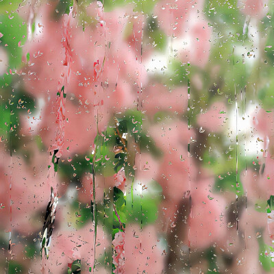 图源ks：偷喝汽水