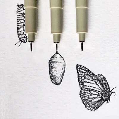 August Lamm
生活在康涅狄格州
凭一组针管笔手绘引18万人的围观喜欢
不同的针管笔的线条可以画出不一样效果
也可以根据画面的需要灵活使用针管笔绘画
