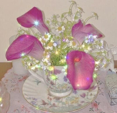 似梦境
审美积累