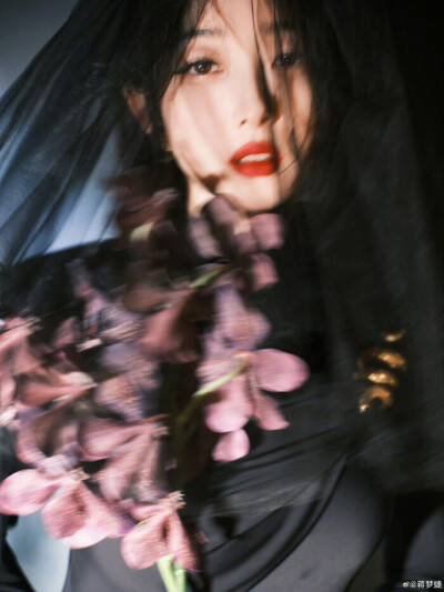蒋梦婕/花系列