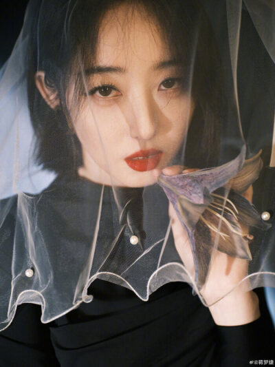蒋梦婕/花系列