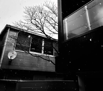 沒有妳的世界是末日嗎。