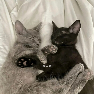 图源ks：偷喝汽水