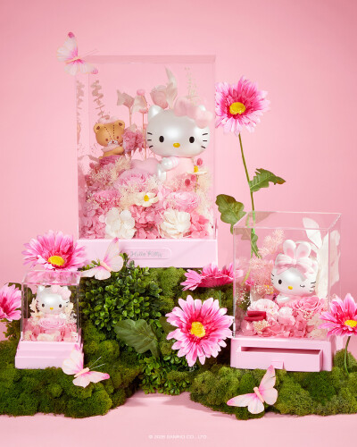 Kitty永生花系列