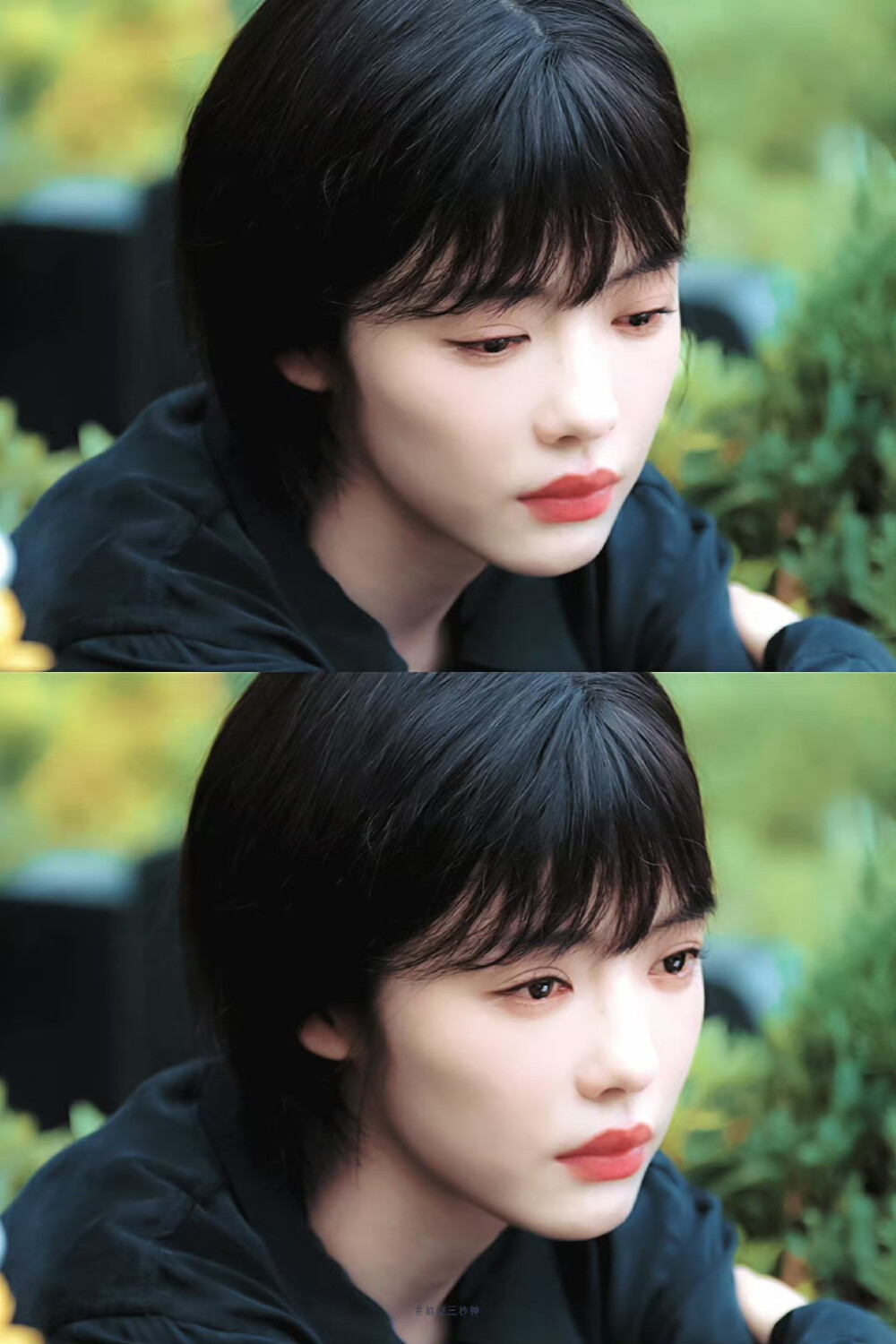 - 蔡文静 / 周瑾 。