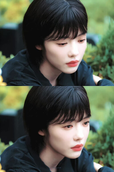 - 蔡文静 / 周瑾 。