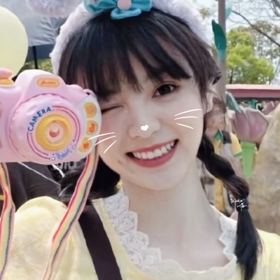 这里面有五只萌物