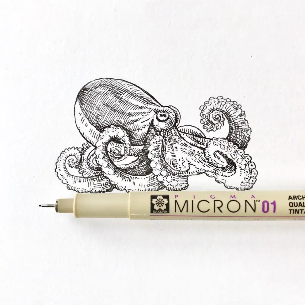 August Lamm
生活在康涅狄格州
凭一组针管笔手绘引18万人的围观喜欢
不同的针管笔的线条可以画出不一样效果
也可以根据画面的需要灵活使用针管笔绘画
